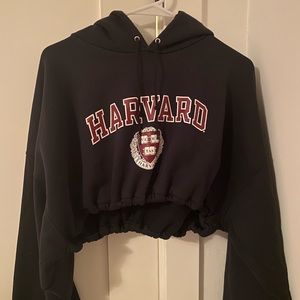 Harvard Hoodie